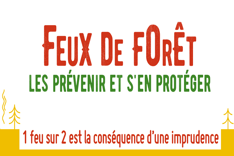 Logo de la campagne Feux de forêt, les prévenir et s'en protéger 2019