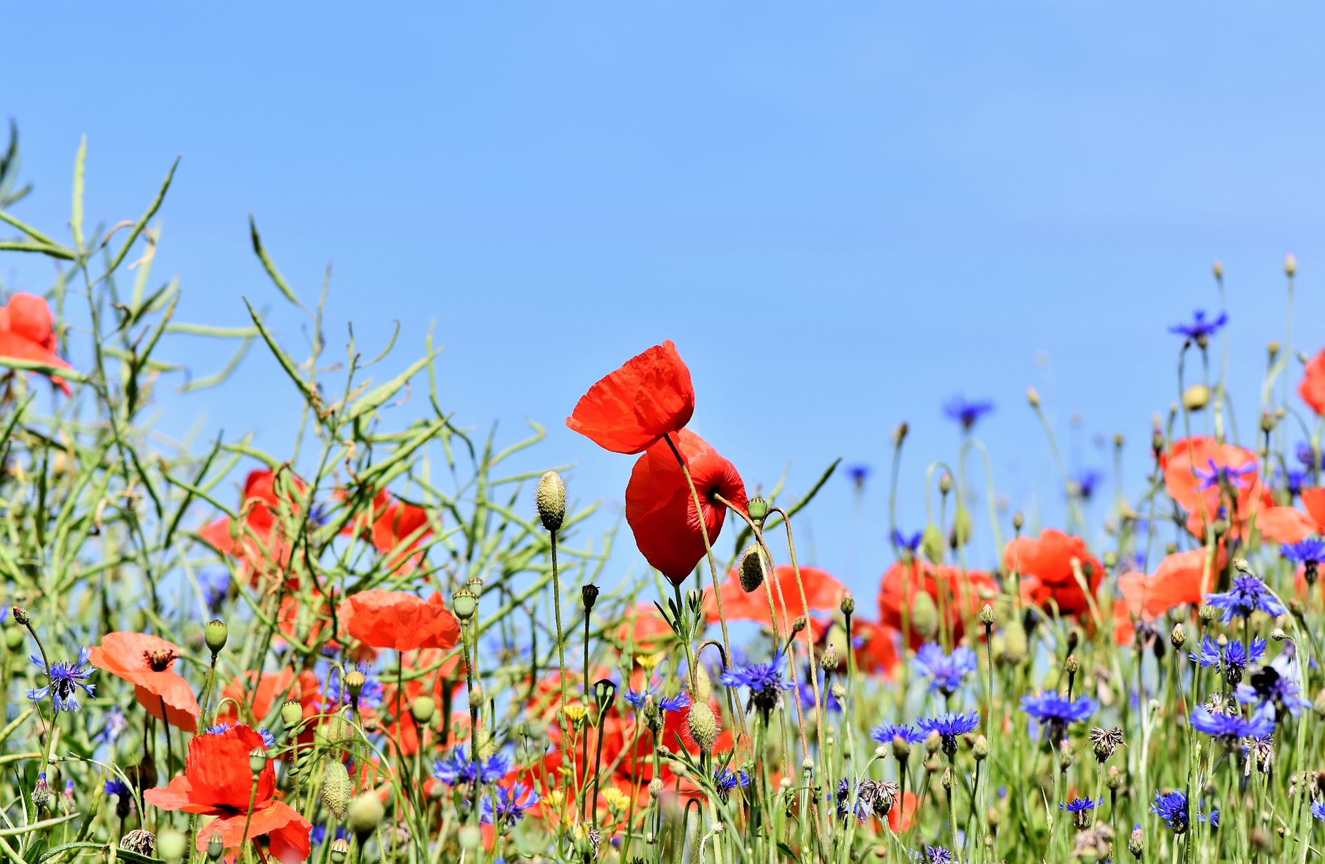 Espace naturel sensible - photo d'illustration