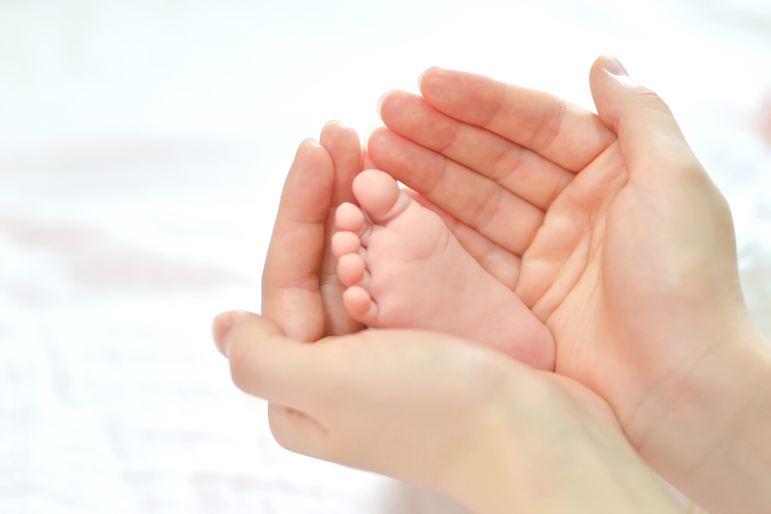 Baby feet in mother hands.