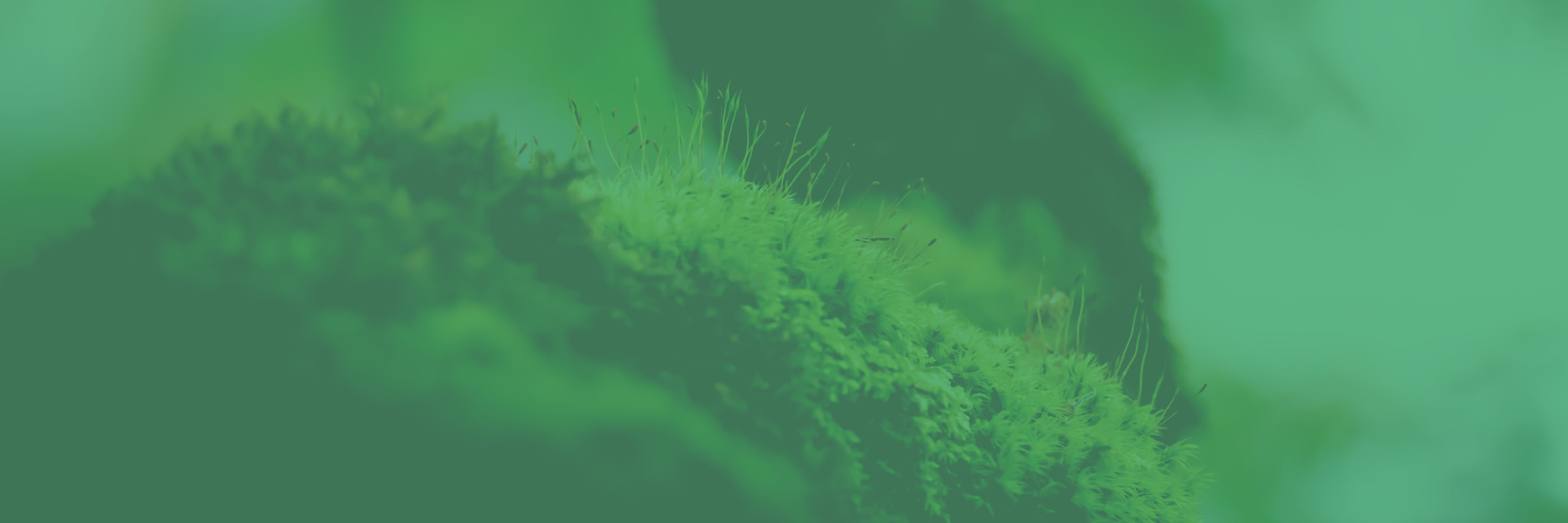 20230322_CONCOURS_PHOTO_FETE_NATURE_SITE_HEADER